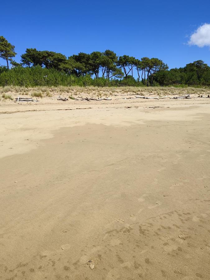 Idealement Situe, Tout A Pied, 60M2 Saint-Georges-de-Didonne Exteriör bild